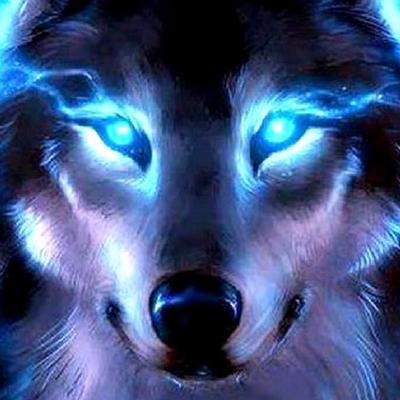 Profile Picture of Cimeron Yankoff (@Cimbawolf) on Twitter