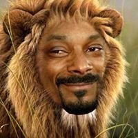 Profile Picture of Bradley Christie (@bradley.christie2) on Myspace