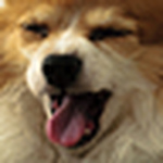 Profile Picture of Gary H. Lee (@Gary H. Lee) on Flickr