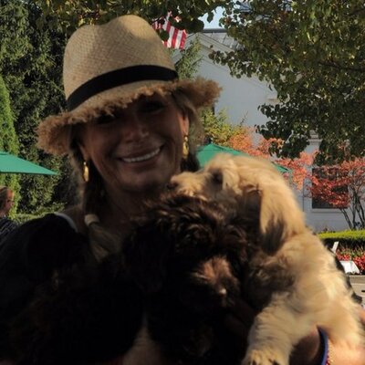 Profile Picture of Heidi Simone (@SimoneHeidi) on Twitter