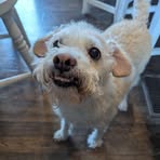 Profile Picture of Jacob Kahn (@Jacob-Kahn) on Facebook