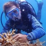 Profile Picture of Nathan Cook Eco (@nathancookeco) on Instagram