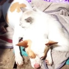 Profile Picture of Silvia  Alcántara (@SilviaAlcntara3) on Twitter