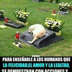 Profile Picture of Eulalio Gonzalez (@eulalio.gonzalez.399041) on Instagram