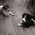 Profile Picture of Kevin Klasen (@kevin_klasen) on Instagram