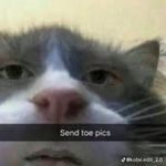 Jugga joe - Instagram Profile Picture of Jugga joe (@jigga_joe_) on Instagram