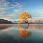 Profile Picture of Carla Samson (@aguadulceluxury) on Instagram