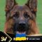 Profile Picture of Brian Zachariassen (@brian.zachariassen.9) on Facebook