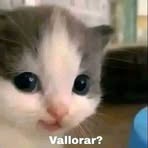 Profile Picture of Daryl Grimess (@Daryl-Grimess) on Facebook