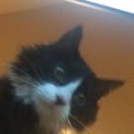 Profile Picture of Brett Wiens (@brett.wiens.712) on Facebook