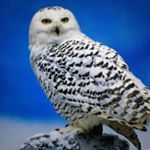 Profile Picture of James Proctor (@jimmy.proctor1) on Instagram