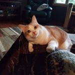 Profile Picture of Debbie Wicks (@wix8888) on Instagram