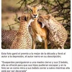 Profile Picture of Henry Chris Mendieta Reyes (@henry.chris.mendi) on Tiktok