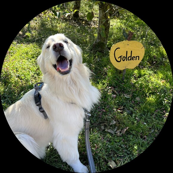 Profile Picture of Emily Kevern (@k_family77) on Poshmark