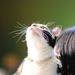 Profile Picture of MaaChann Chien (@jennifer2003060) on Pinterest