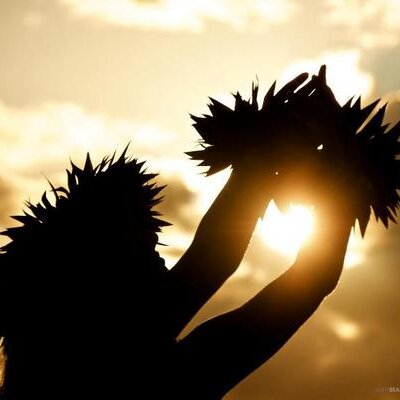 Profile Picture of Andy Beal (@@BealPhoto) on Twitter