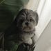 Profile Picture of Ginger Gillett (@ginger.gillett.9) on Facebook