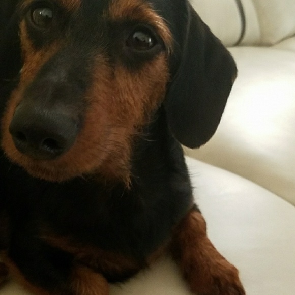 Profile Picture of Richard Alston (@richdchief) on Poshmark