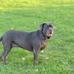 Profile Picture of Bill Rutkowski (@bill.rutkowski.16) on Facebook