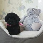 Profile Picture of Peggy (@peggypooley) on Instagram