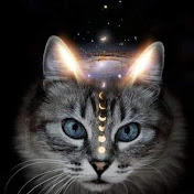 Profile Picture of Patrick Marchand (@patrickmarchand301) on Youtube