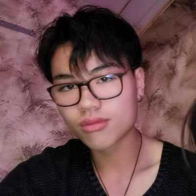 Profile Picture of Johnson___liu (@johnsonliu2001) on Twitter