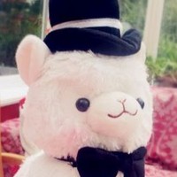 Profile Picture of Tori Gonzalez (@tori-gonzalez-4) on Quora