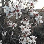 Profile Picture of Gemma Valls Junyent (@vallsjunyent) on Instagram