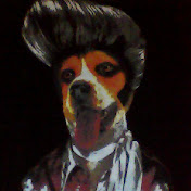 Profile Picture of Raphael Rojas (@raphaelrojas6975) on Youtube