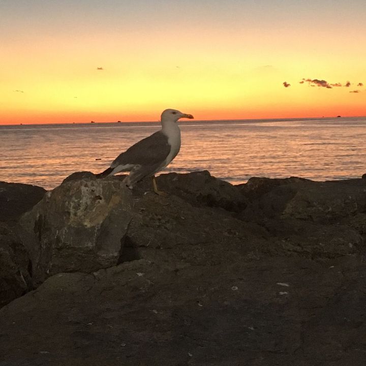 Profile Picture of Jessica Hala👵 (@delidelisin0) on Tiktok