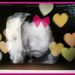 Profile Picture of Bianca Parra (@binkzz93) on Pinterest