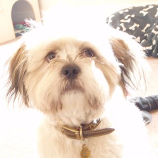 Profile Picture of Richard Burn (@Sticky.OG.SYC) on Facebook