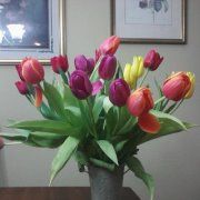 Profile Picture of Teresa Pearson (@DesignsByRain) on Pinterest