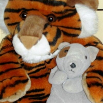 Profile Picture of Steve Hoskinson (@StevHsknson) on Twitter