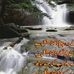 Profile Picture of Imran Choudhery (@imran.choudhery.1) on Facebook