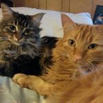 Profile Picture of Terry Jacobson (@terry.jacobson) on Instagram