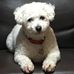 Profile Picture of Murray Simpson (@murray.simpson.52) on Facebook