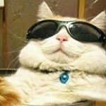 Profile Picture of joe chungus (@ragulinguini) on Instagram