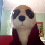 Profile Picture of Oliver John Royston Gill (@oliverthemeerkat12) on Instagram