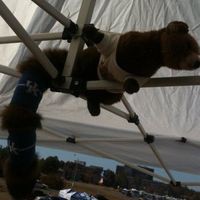 Profile Picture of Greg Batts (@greg-batts-2) on Quora