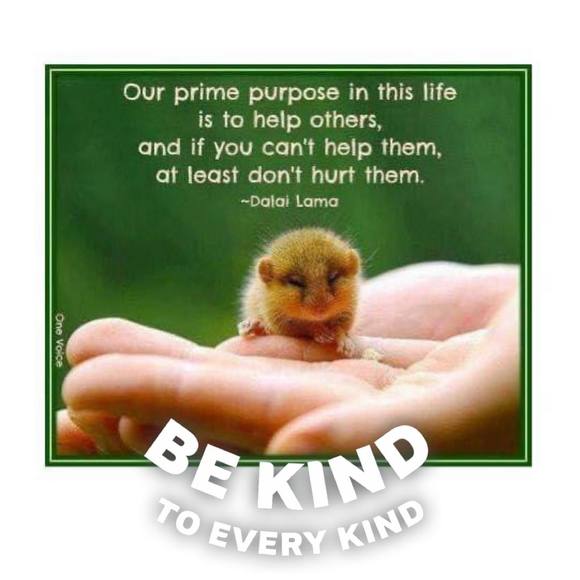 Profile Picture of Tiffany Bukowski (@tiffanybukowski) on Poshmark