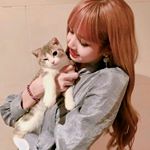 Profile Picture of blackpink:lisa🐰🐰 (@lisa_cat_rabbit) on Instagram