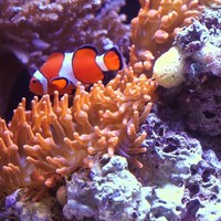 Profile Picture of Anja Walters (@anja-walters-2) on Quora