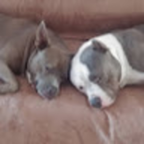 Profile Picture of Andrea Zinno (@andreazinno) on Poshmark