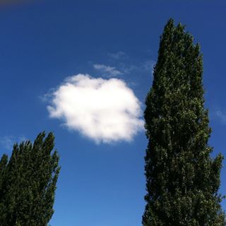 Profile Picture of Stephen Hender Hender (@stephenhender.hender) on Facebook