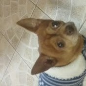 Profile Picture of Humberto Esparza (@humbertoesparza5633) on Youtube