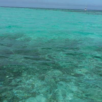 Profile Picture of Karl Scherer (@Scherer1962) on Twitter