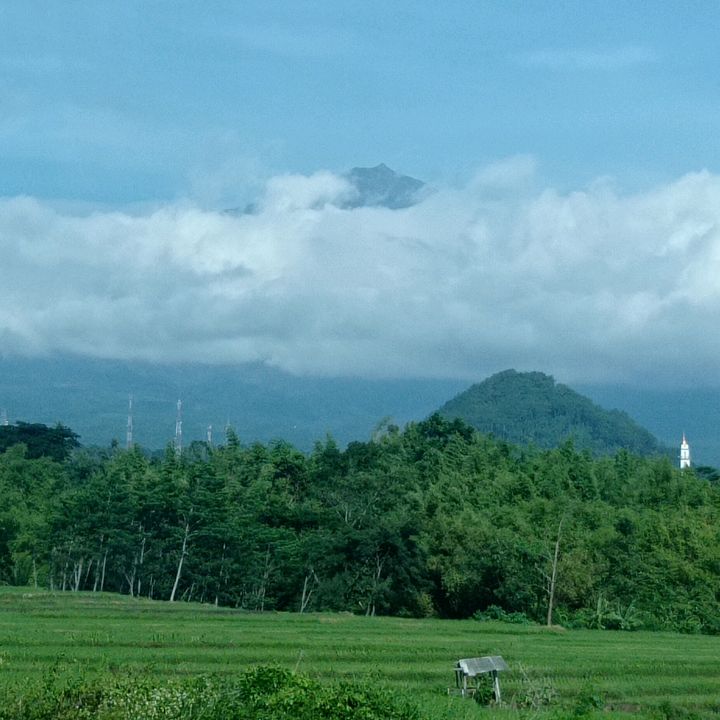 Profile Picture of Alvin Vano (@alvinvano) on Tiktok