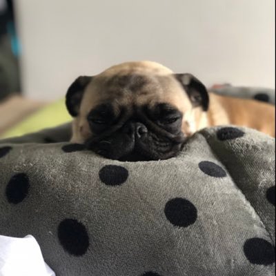 Profile Picture of Matt Tanton (@MattTanton1) on Twitter