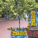 Profile Picture of Hà Thế Phi (@phi.hathe.3) on Facebook